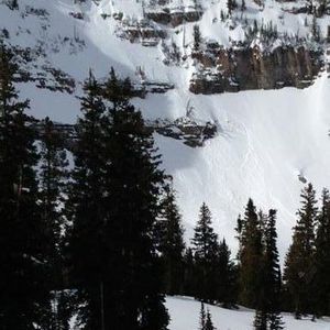 Meet your Posher, Willie